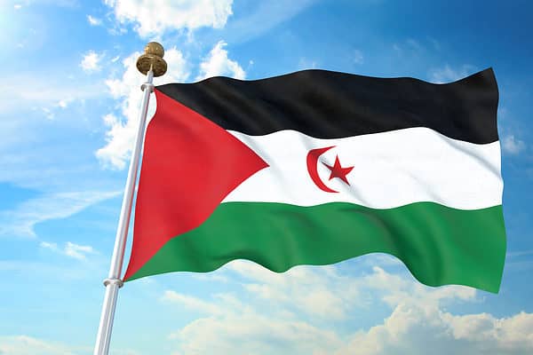 Flag of Western Sahara waving in the wind