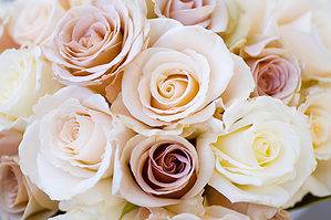 13 Types of Romantic Roses for Weddings Picture