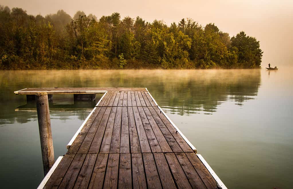 Blue marsh lake