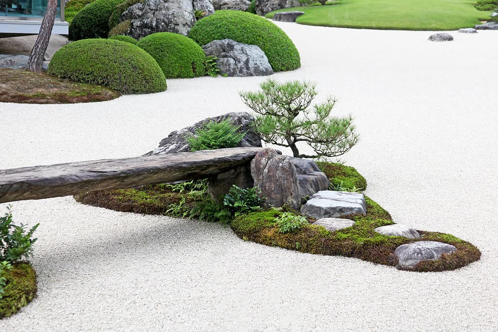 Bonsai used in Japanese landscaping