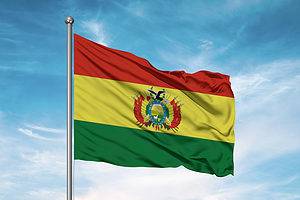 The Flag of Bolivia: History, Meaning, and Symbolism Picture