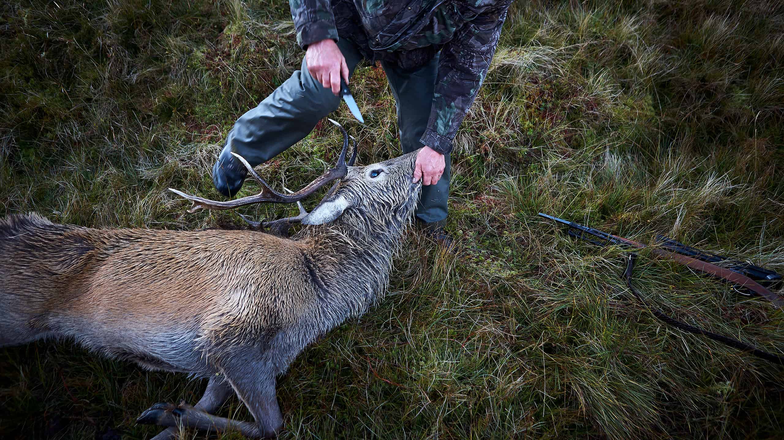 The Largest Whitetail Deer Ever Caught In Virginia Was An Absolute Unit ...