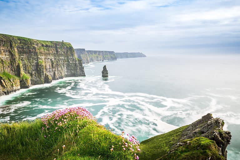 Beautiful Irish coast with cliff-dwelling wildflowers.