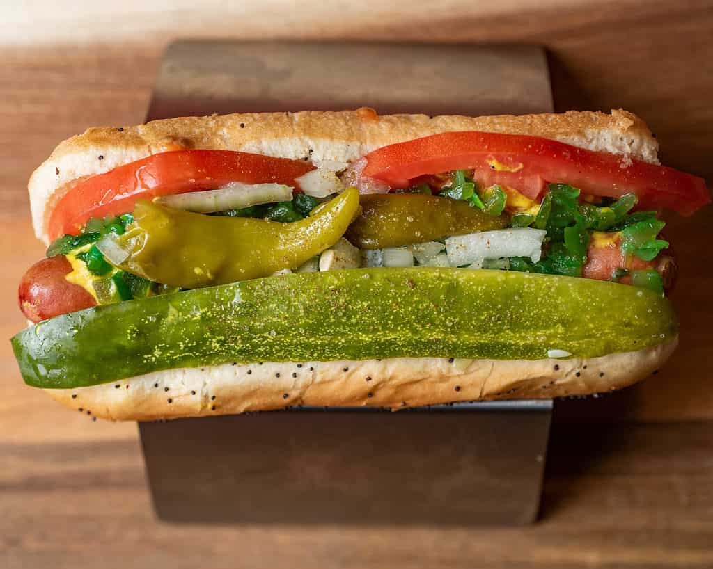 Chicago dog from Illinois
