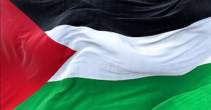 The Flag of Palestinian Territories: History, Meaning, and Symbolism Picture
