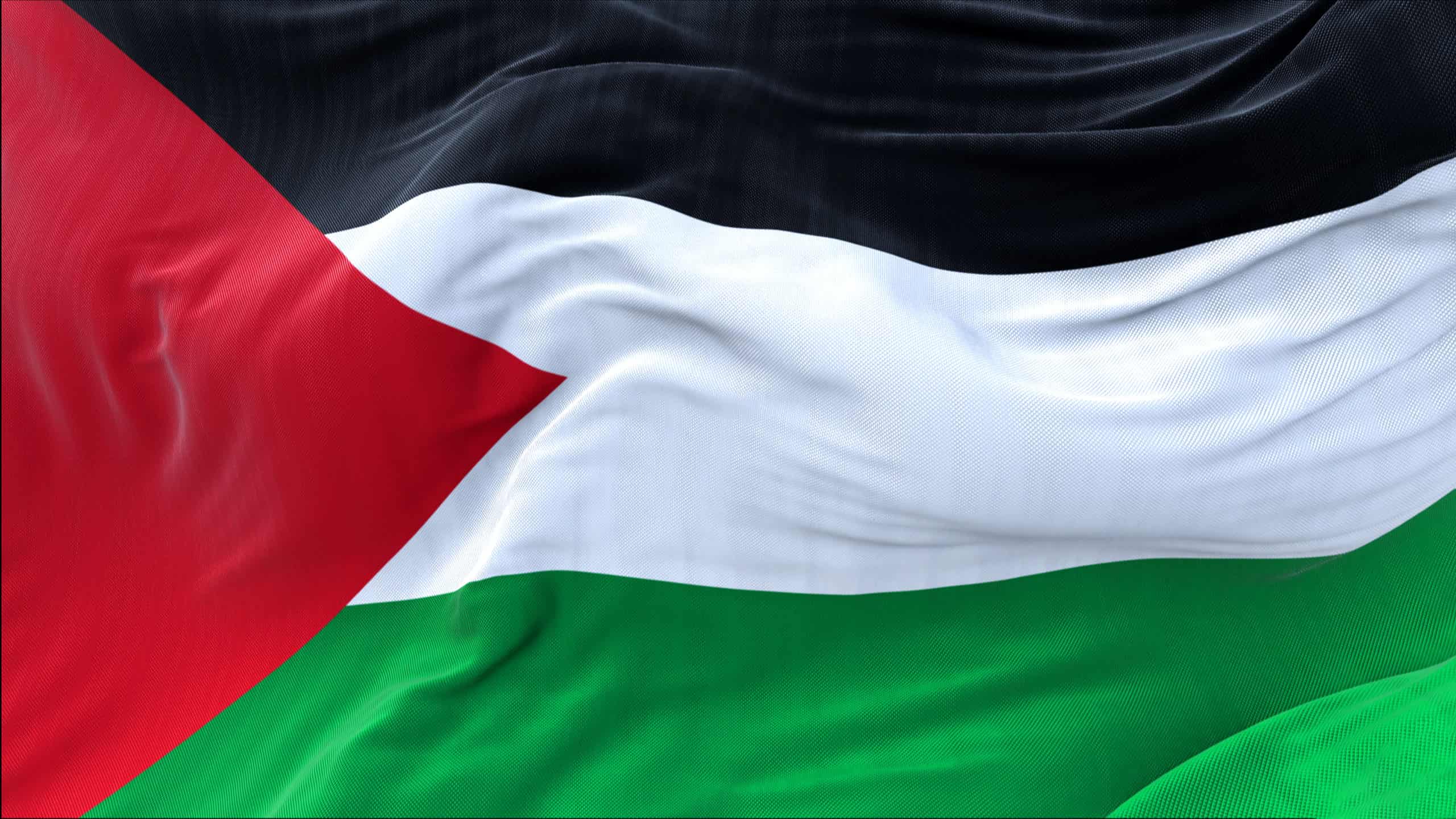 Flag of palestine