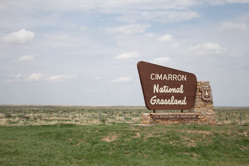 Prairie nationale de Cimarron, Kansas