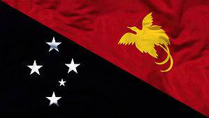 The Flag of Papua New Guinea: History, Meaning, and Symbolism Picture