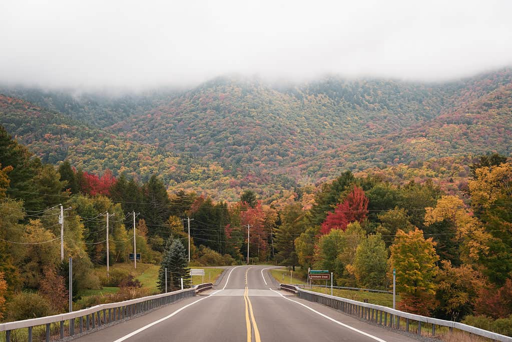 Road leading to Catskills Mountains, NY