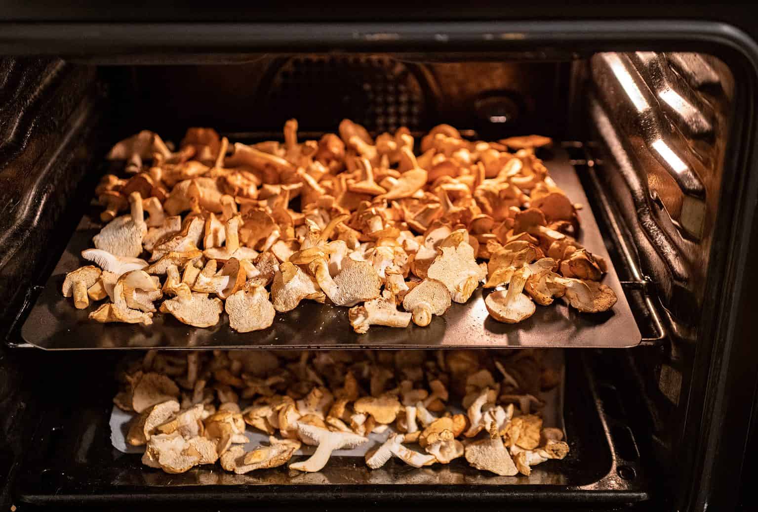 How to Dry Mushrooms - A-Z Animals