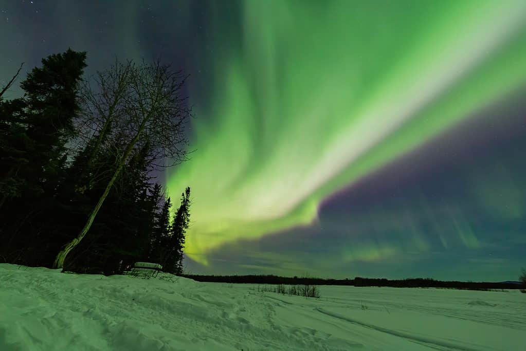 Beautiful aurora over the night sky at Chena Lakes, Fairbanks, Alsaka