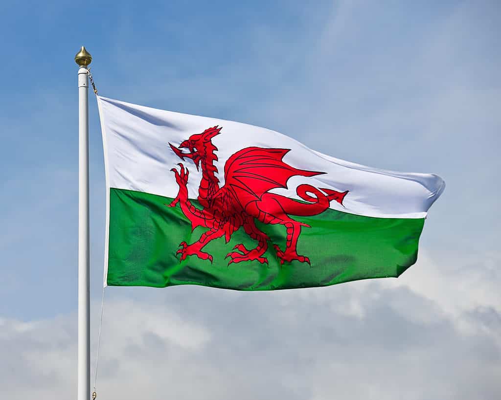 Official Welsh Flag Official Welsh Flag