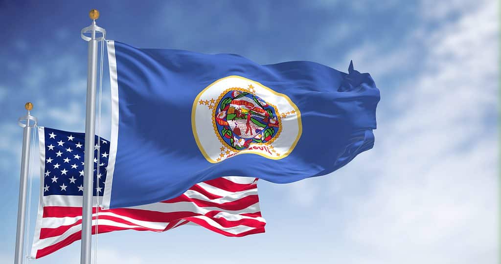 flag of Minnesota