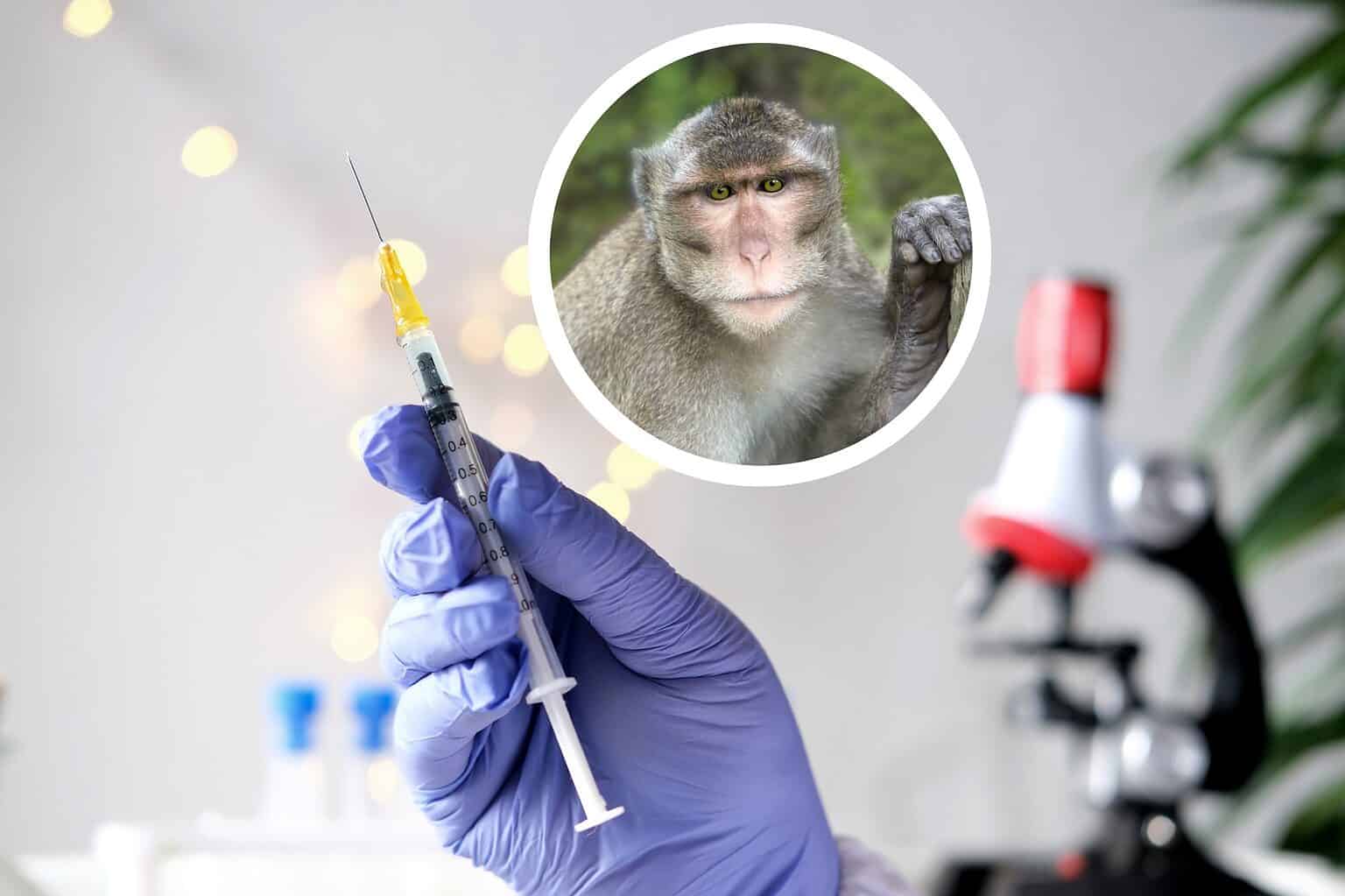 Transgenic Animals: 9 Animals That Have Been Genetically Modified - A-Z ...