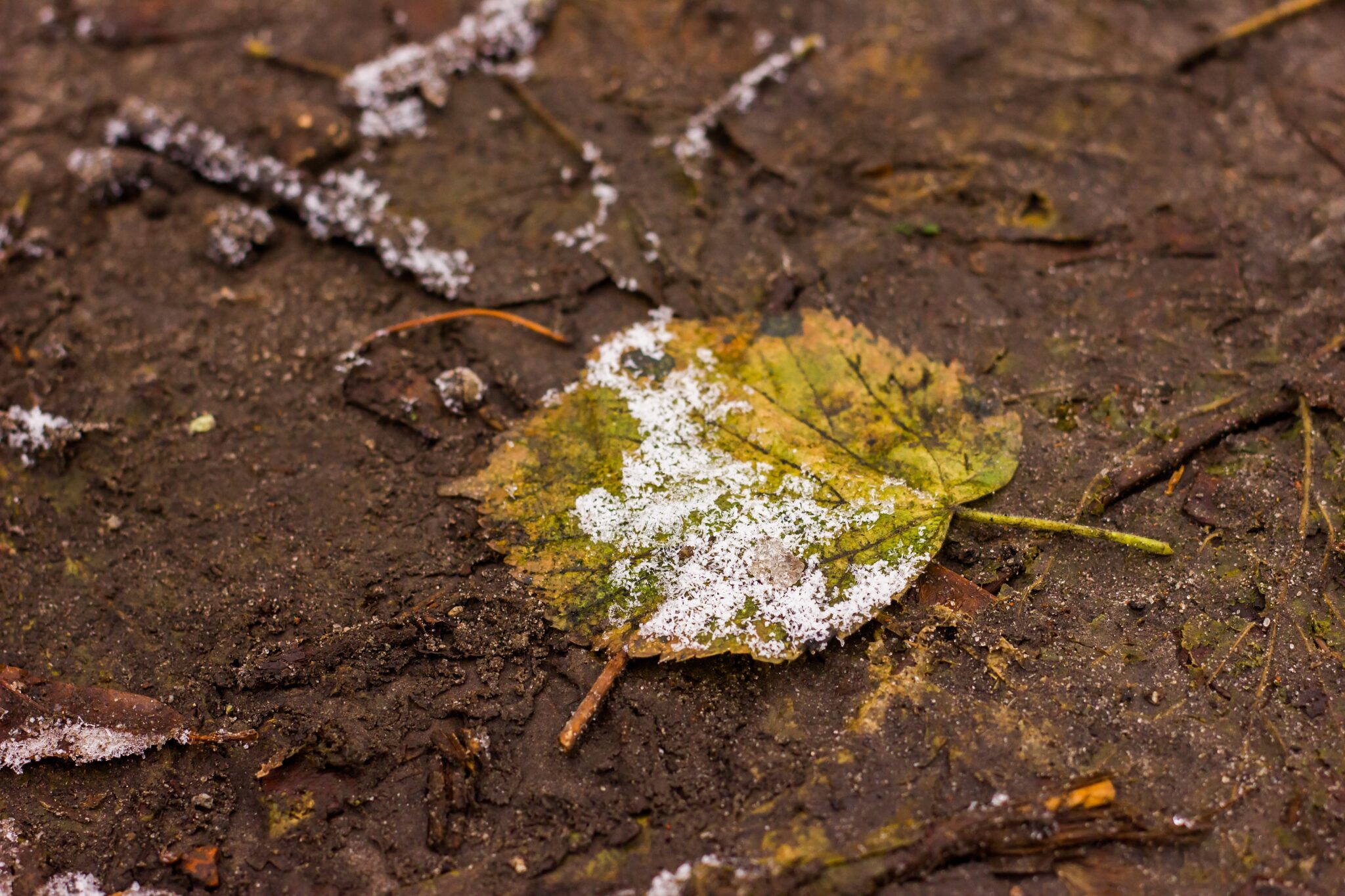 indian-summer-what-is-the-meaning-and-origin-of-the-expression