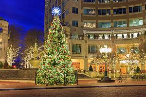 10 Incredible Christmas Markets Only in Virginia Picture
