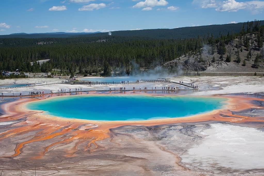 Archaea live in harsh, extreme environments such as hot springs