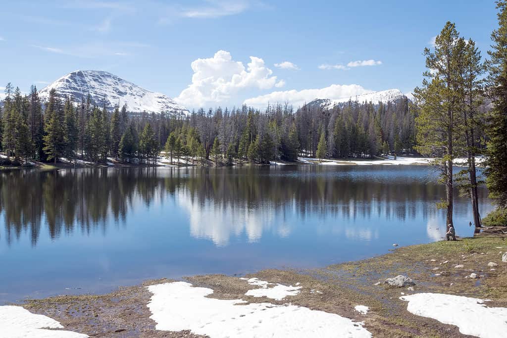 Lilly Lake Utah