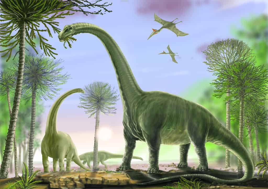 Gigantic sauropod dinosaurs -Titanosaurs reached lengths of more than 120 feet long.