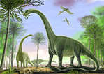 Titanosaurs