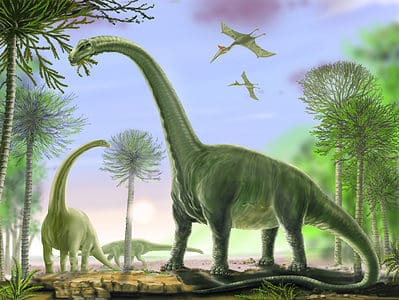 A 5 Types of Gigantic Sauropod Dinosaurs