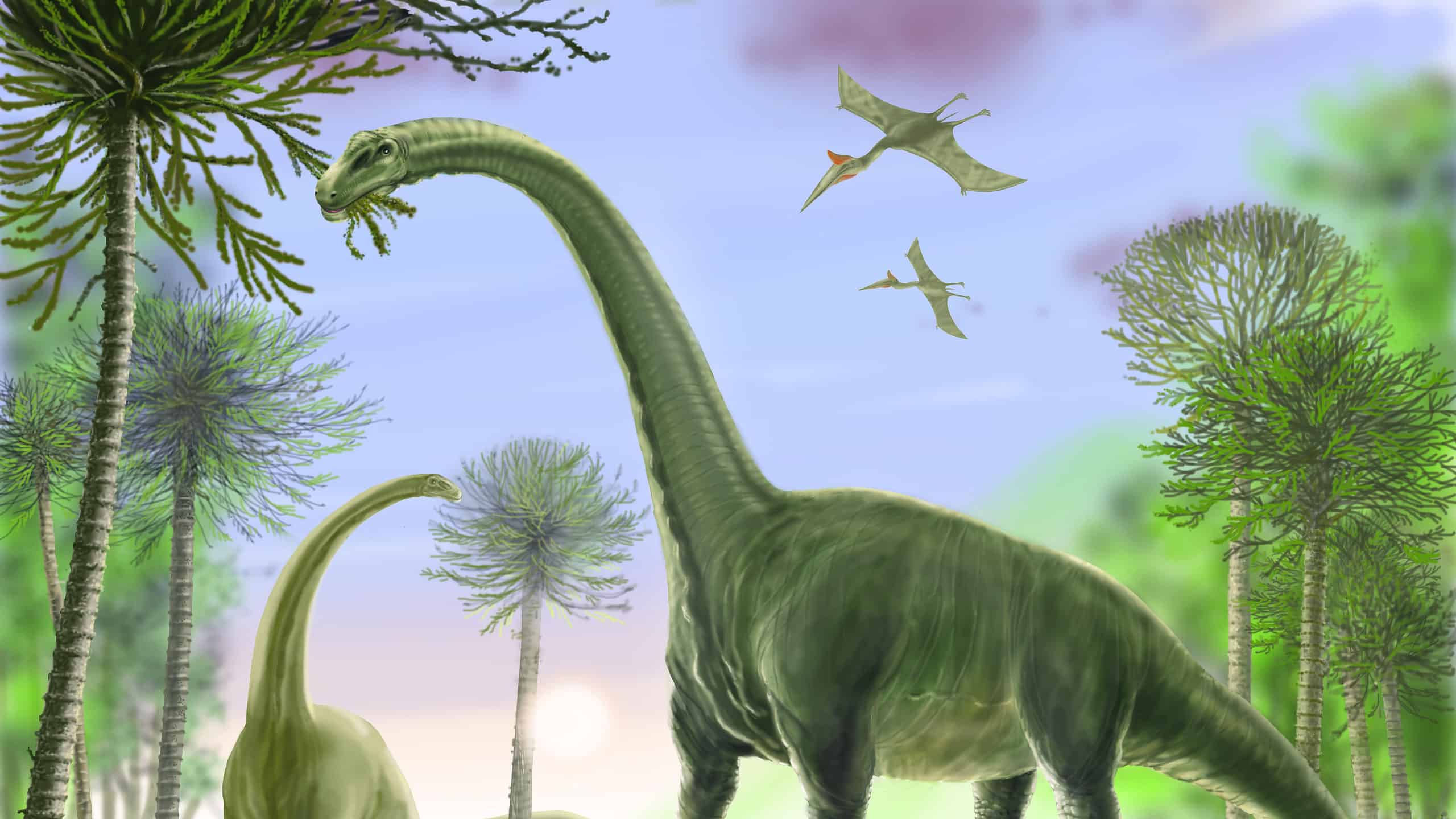 Titanosaurs reached lengths of more than 120 feet long.