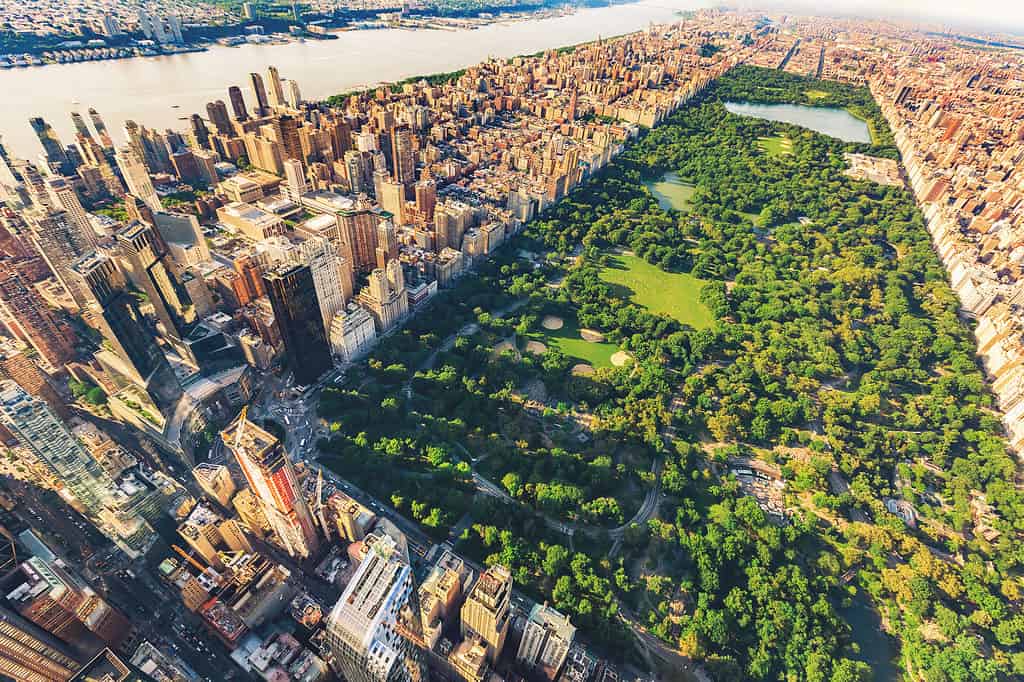 Aerial view of Central Park, NYC