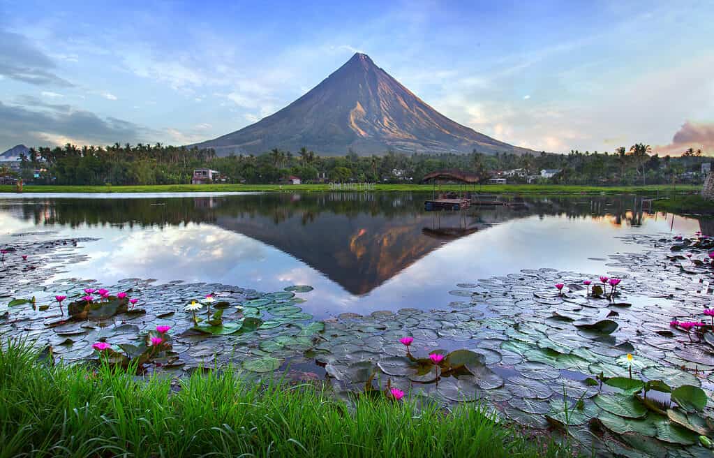 The Philippines is a mega biodiverse country.