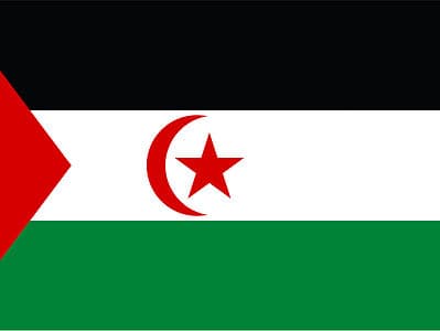 A The Flag of Western Sahara: History, Meaning, and Symbolism