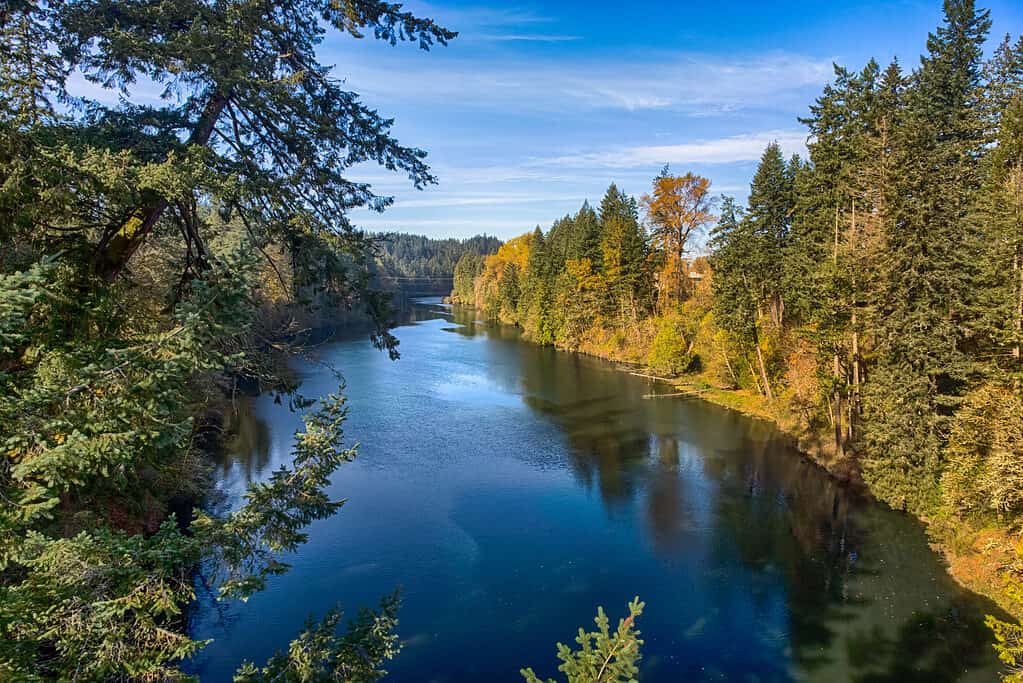 Clackamas river