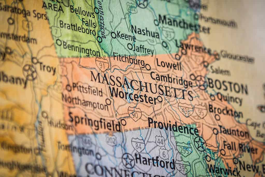 Uncover the Quickest Animals in Massachusetts