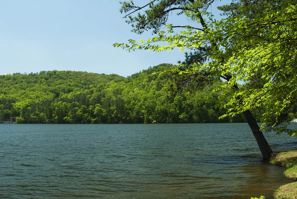 Lake Guntersville in Alabama