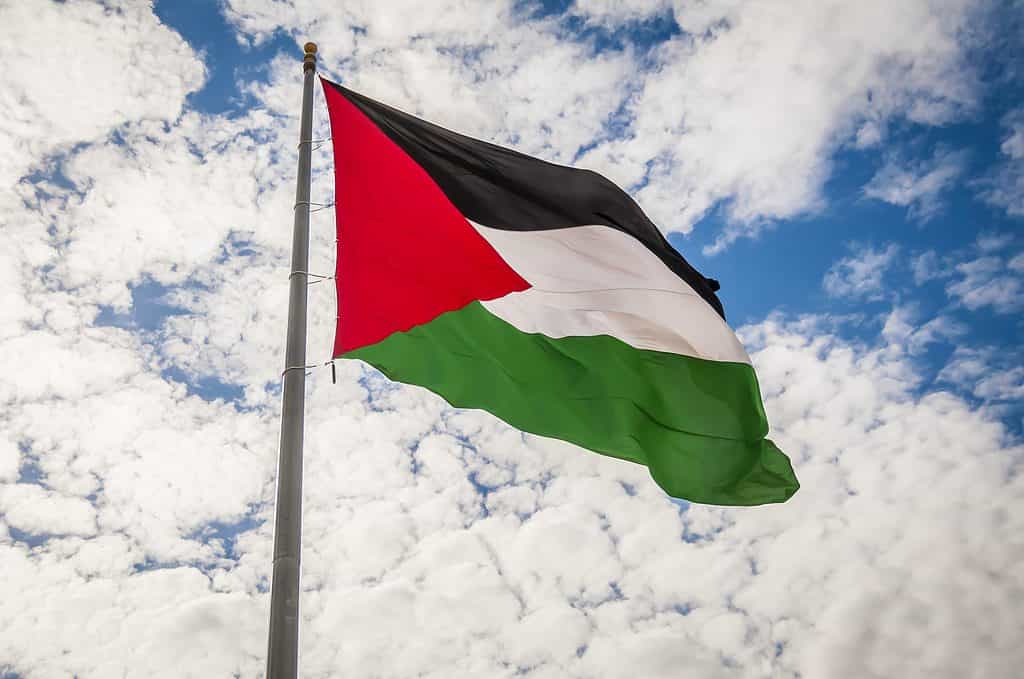 The Flag of Palestinian Territories: History, Meaning, and Symbolism ...
