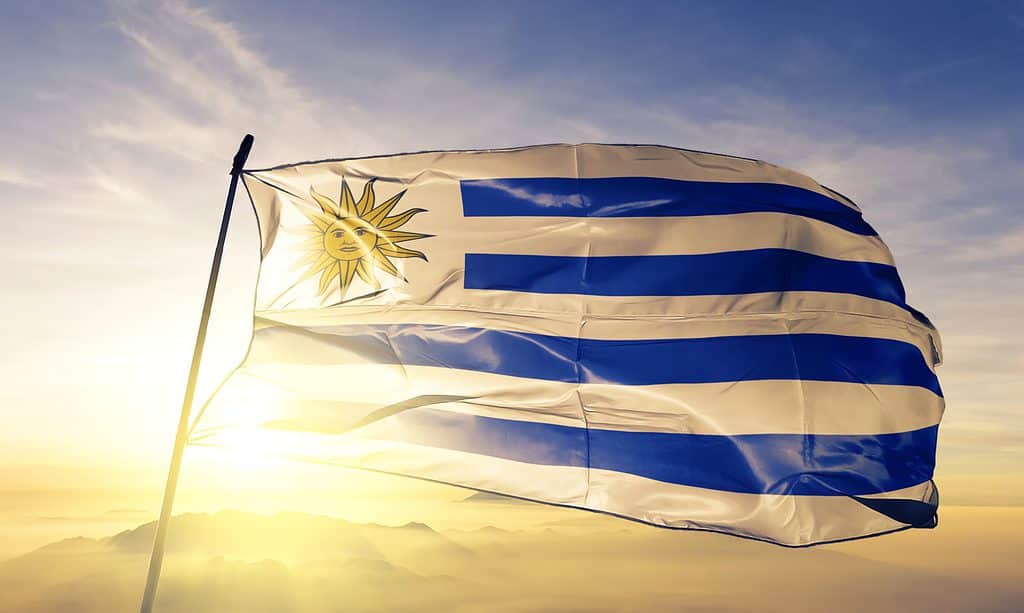 uruguay-uruguayan-flag-textile-cloth-fabric-waving-on-the-top-sunrise-mist-fog.jpg_s=1024x1024&w=is&k=20&c=HVjO2TUMO6L2GjV-OOOmJUDN2SUr1e3dUAQrpI55XqE=