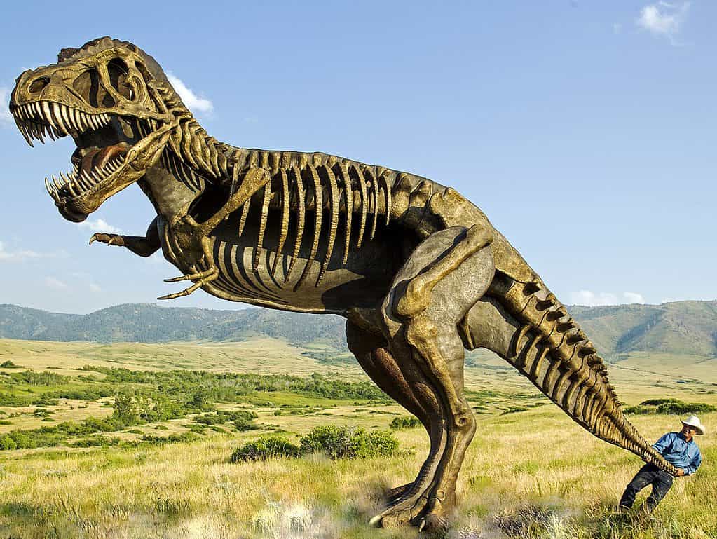 The sculpture is located at the entrance to the Tate Geological Museum in Casper, Wyoming.