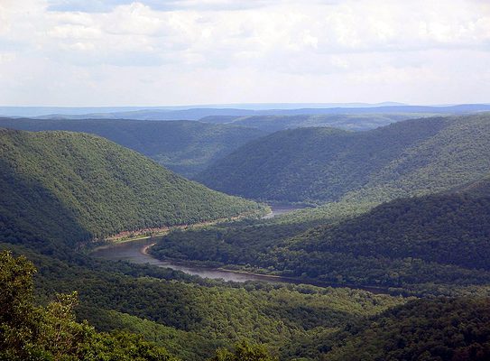 Discover the Largest Forest in Pennsylvania (And What Lives Within It ...