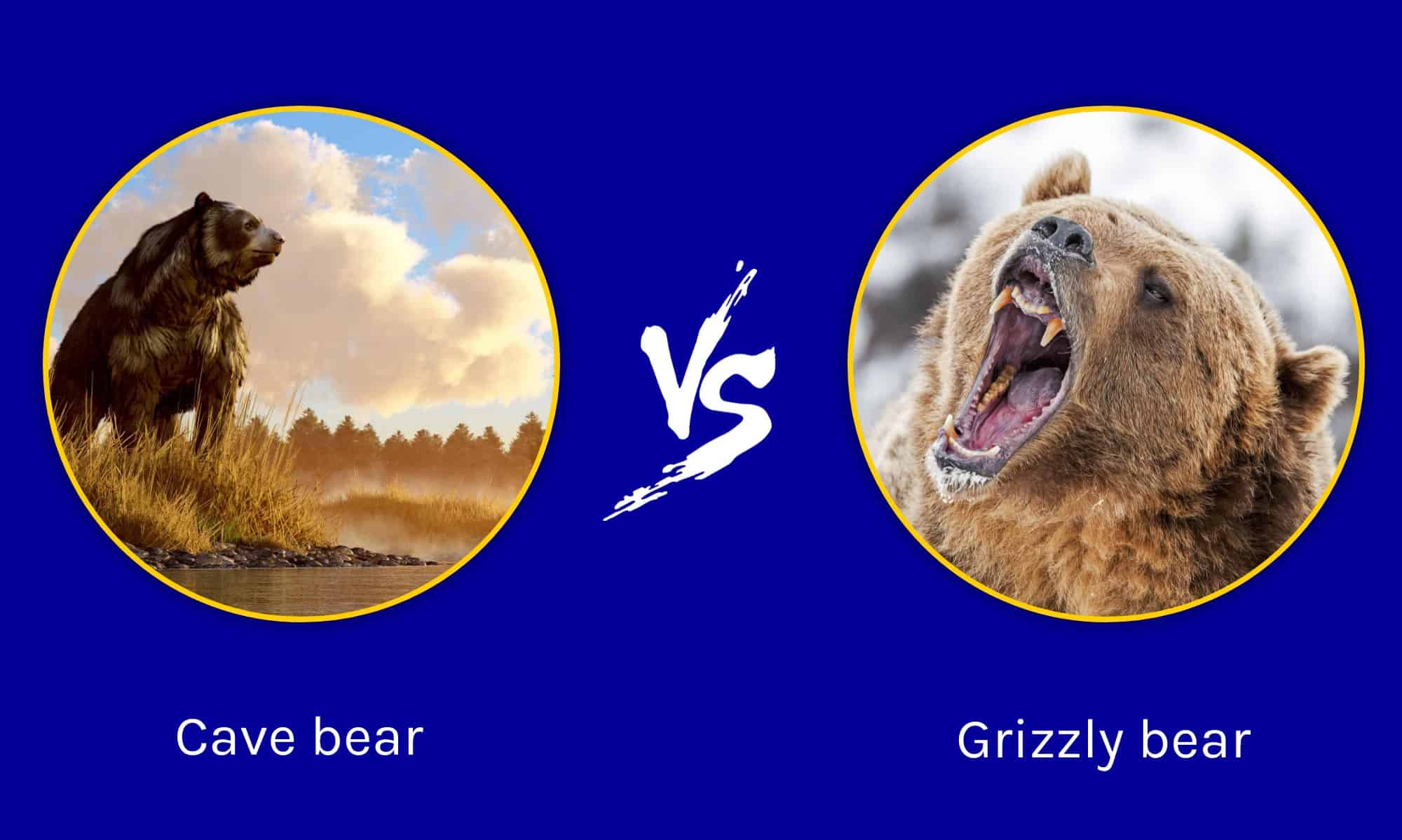 Epic Battles: Cave Bear vs. Grizzly Bear - AZ Animals