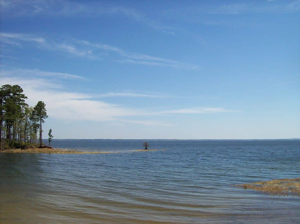 Toledo Bend Reservoir is the largest artificial lake in Texas
