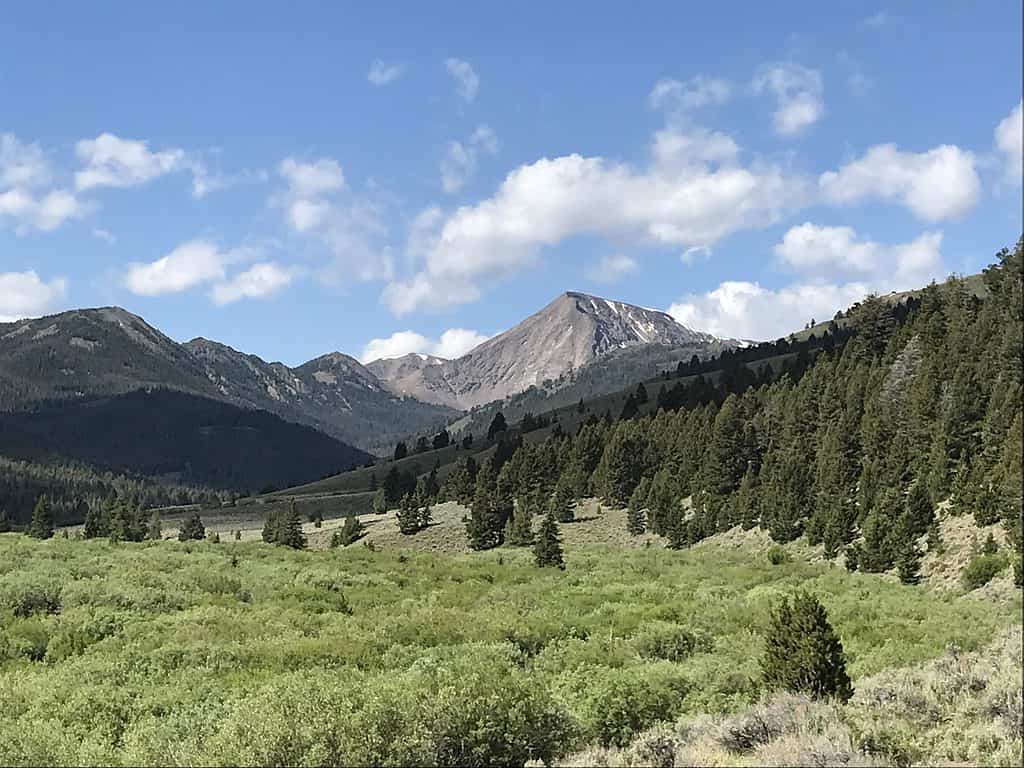 The largest forest in Idaho is the Salmon-Challis National Forest