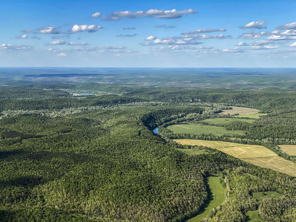 Ozark Plateau in Missouri is a good place for mushroom hunting