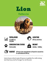 Lion Animal Facts | Panthera Leo - Apex Predator Facts, Pictures ...