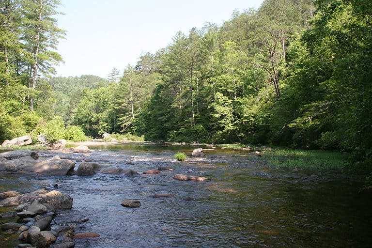 Conasauga River