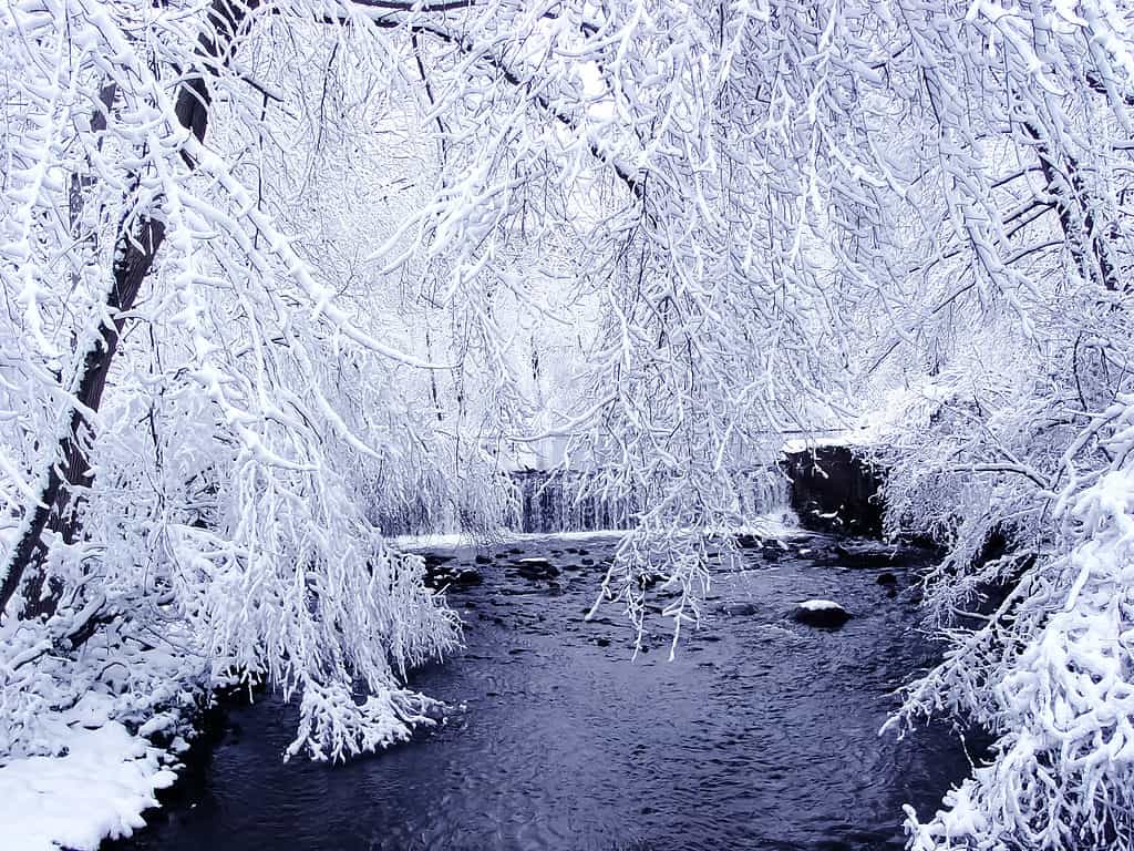 snow in New Jersey