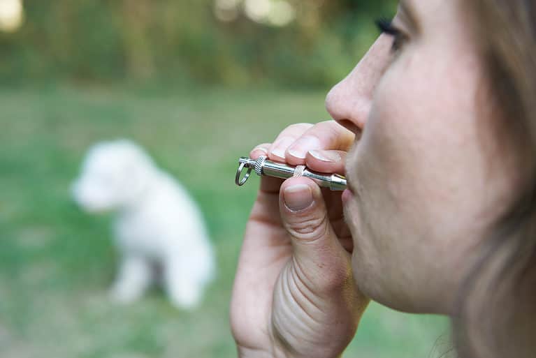 Dog Trainer Using Dog Whistle
