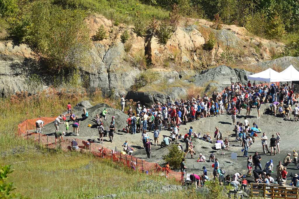 Dinosaur fossils can be found at Edelman Fossil Park in New Jersey