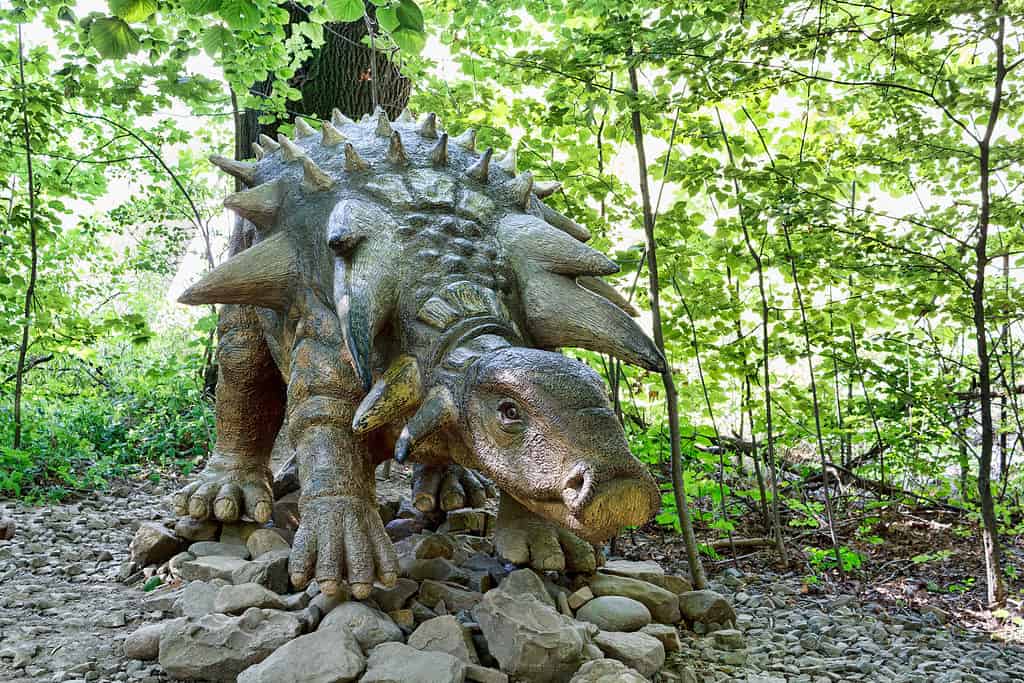 Edmontonia