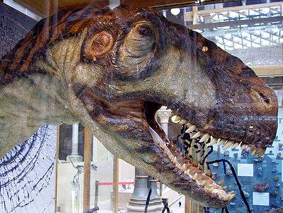 A Discover the 10 Longest Dinosaur Names