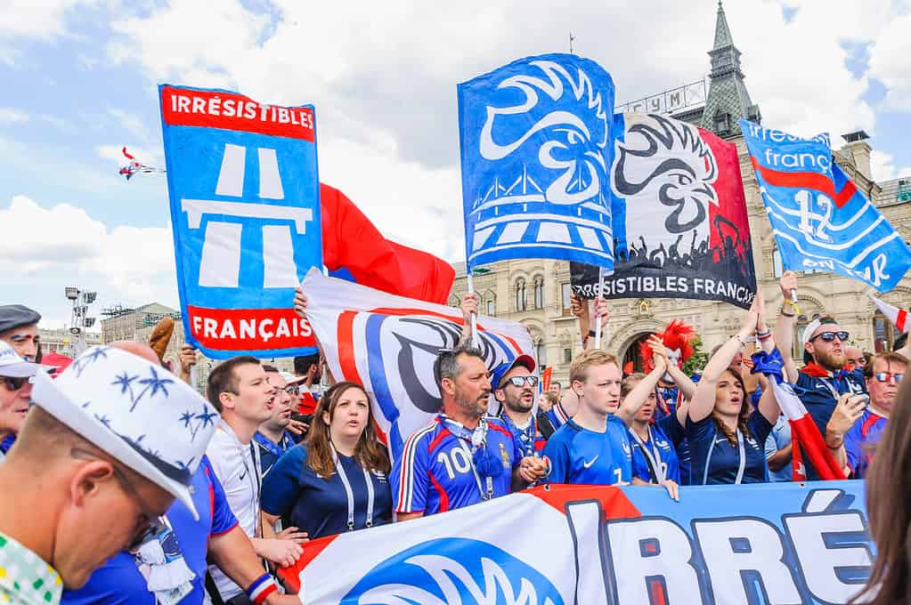 Fans français de la FIFA