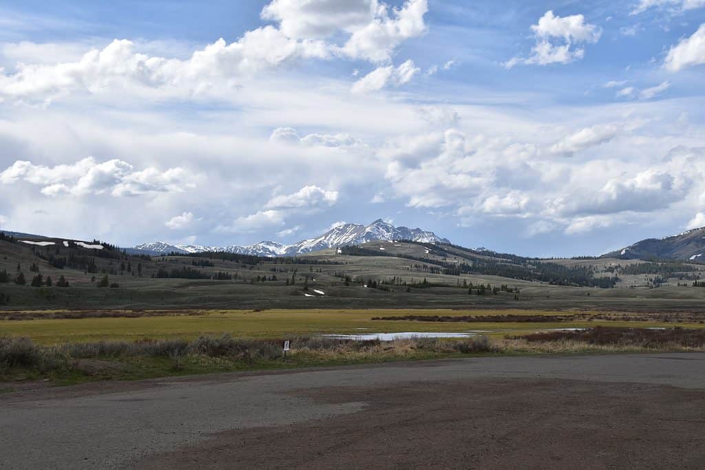 Gallatin Mountain Range in Yellowstone National Park