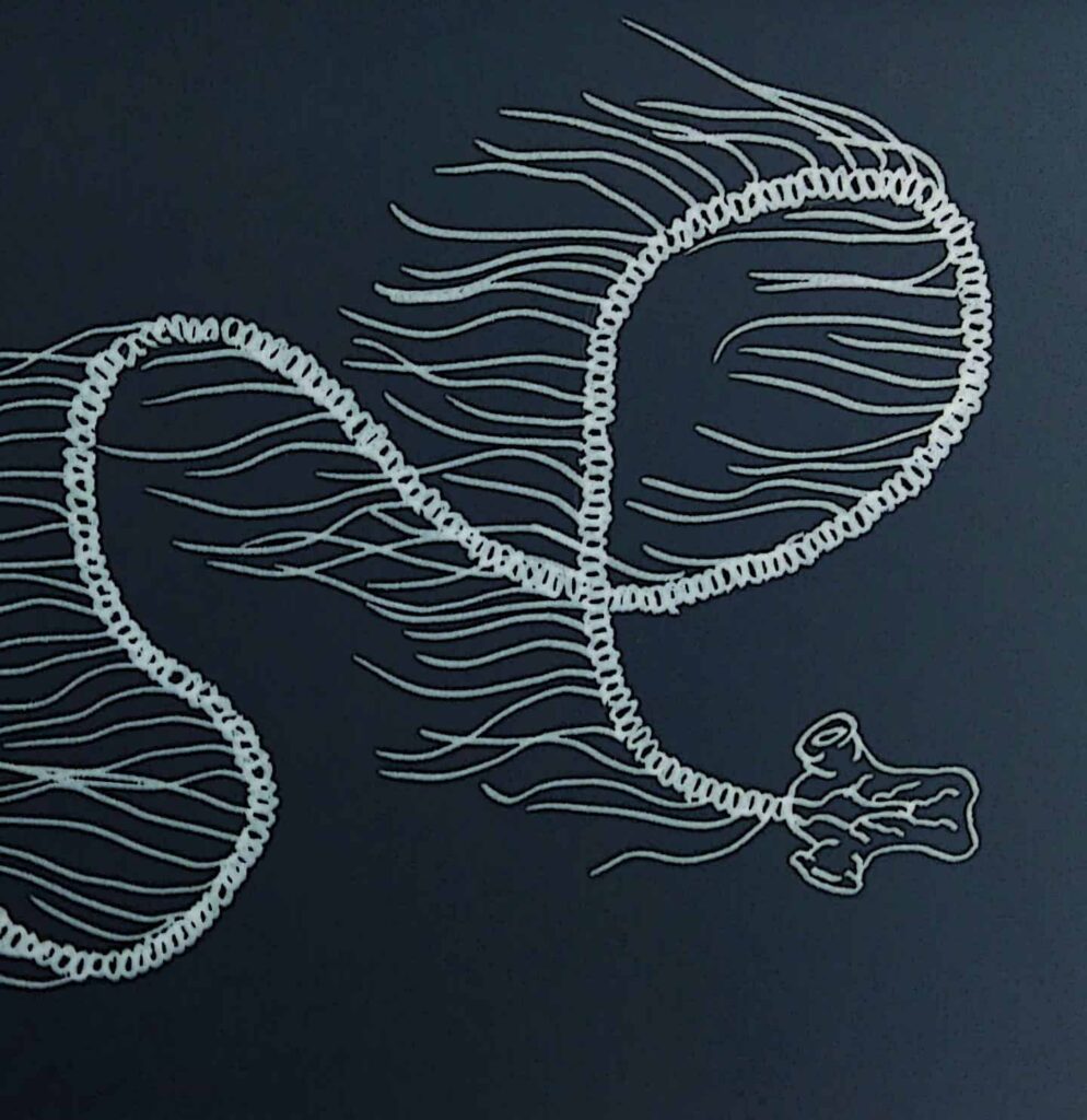 Giant Siphonophore